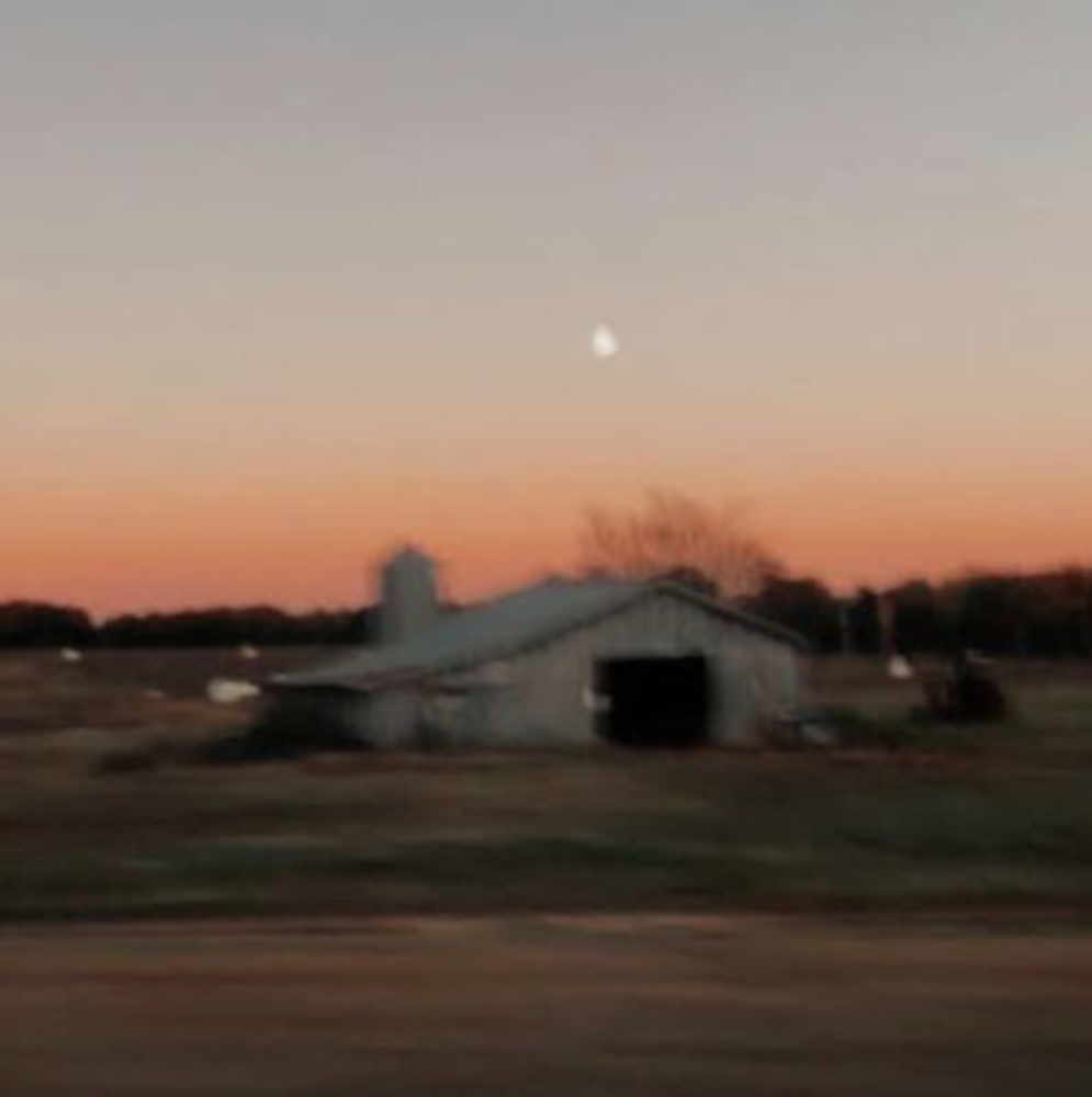 Meet your Posher, Kat